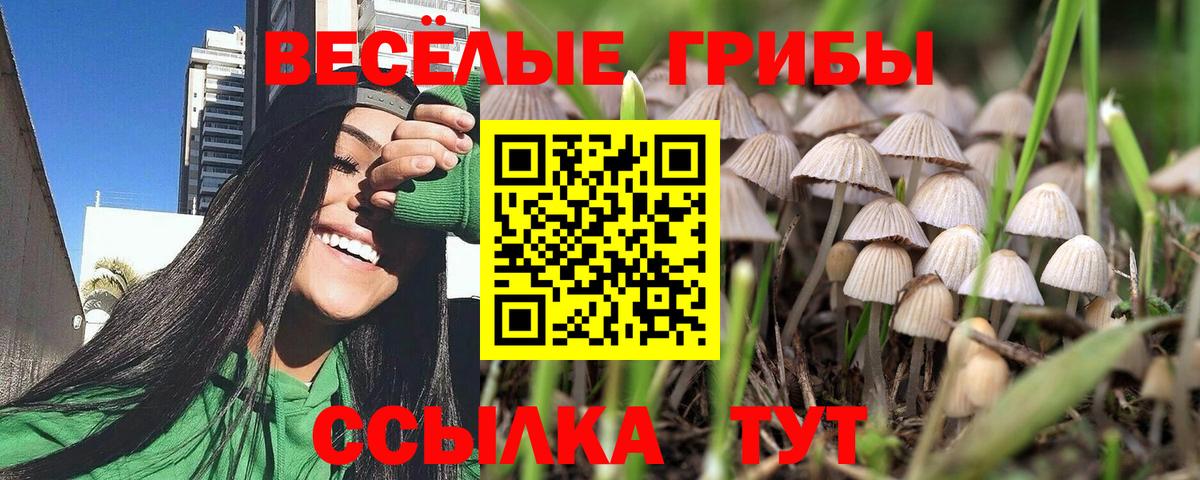 Светлоград  Псилоцибиновые грибы Psilocybe  Псилоцибиновые грибы Psilocybine cubensis  где можно купить наркотик  Вход с VPN 