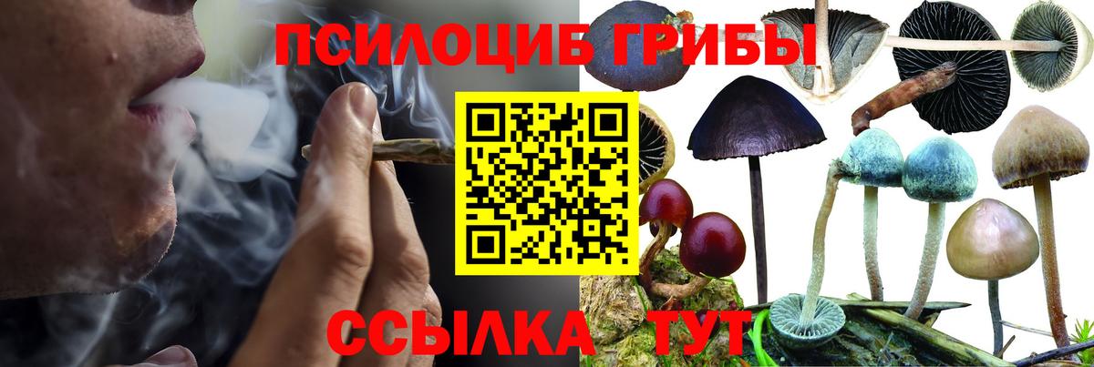 Галлюциногенные грибы мицелий Светлоград